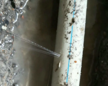 三水卫生间测漏水多少钱