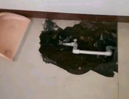 三水卫生间测漏水多少钱